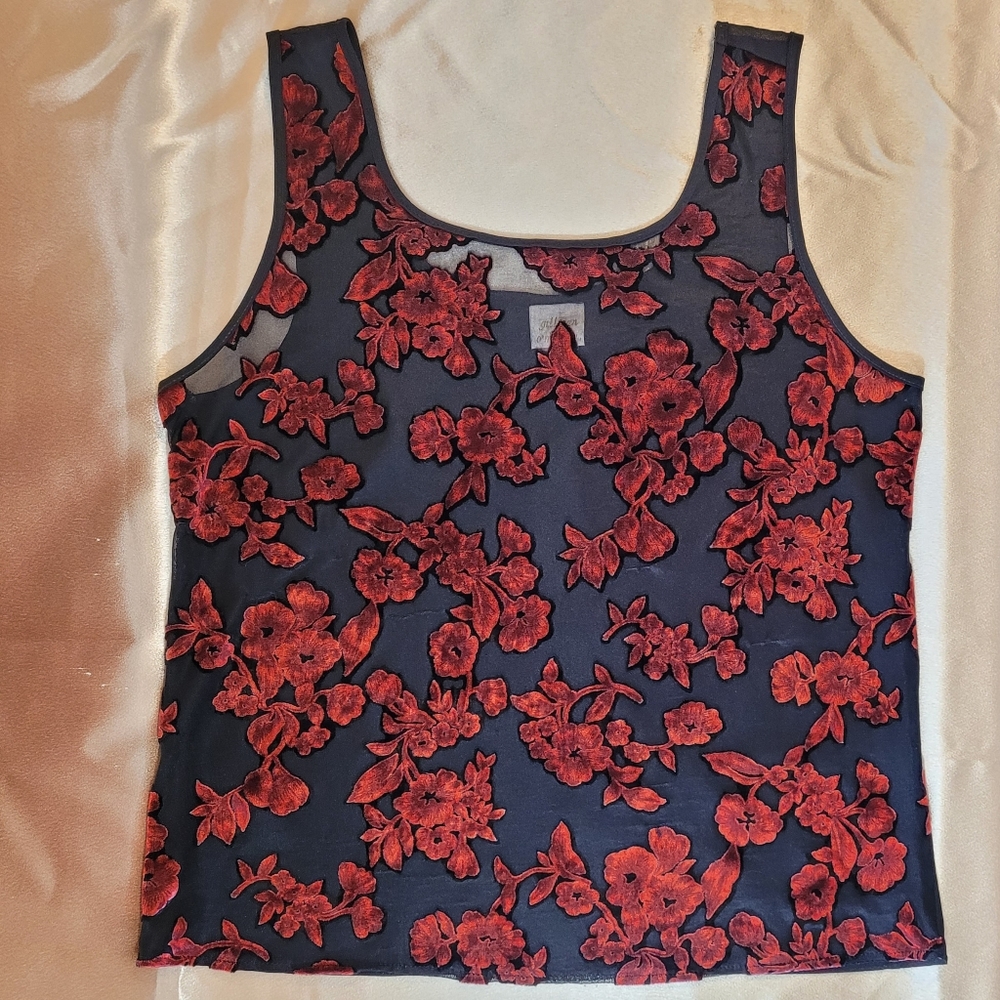 Sheer Vintage Red Velvet Top
